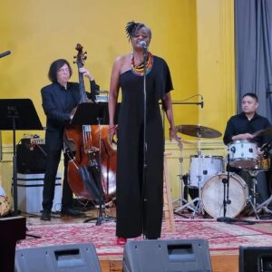 Phil Ravita performing